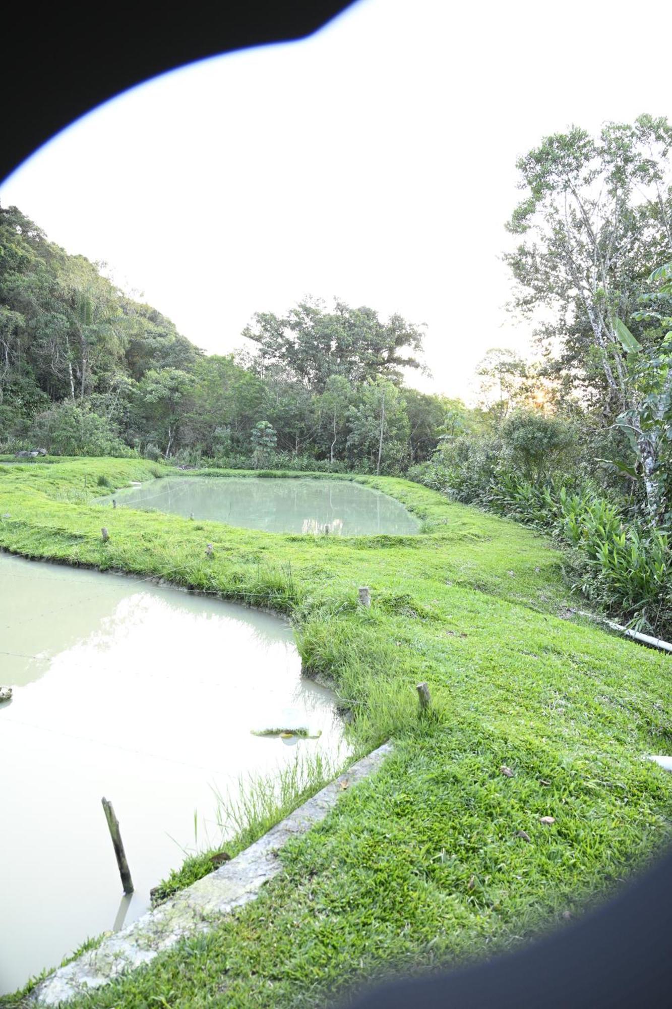 Recanto Vale Do Gigante Antonina Exterior photo